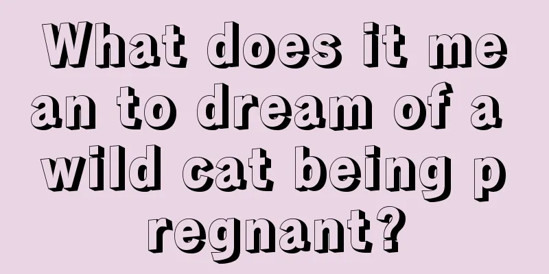 What does it mean to dream of a wild cat being pregnant?