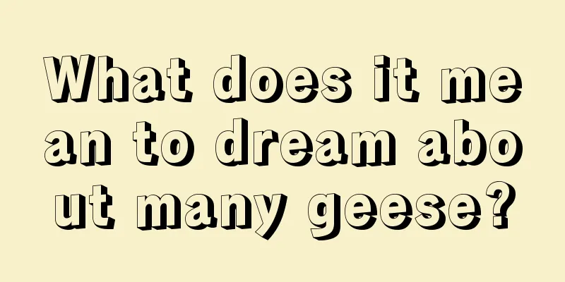 What does it mean to dream about many geese?