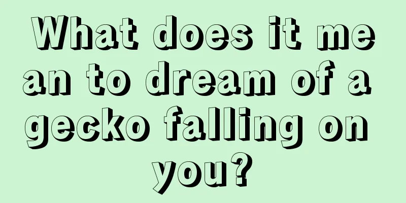 What does it mean to dream of a gecko falling on you?