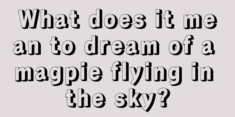 What does it mean to dream of a magpie flying in the sky?