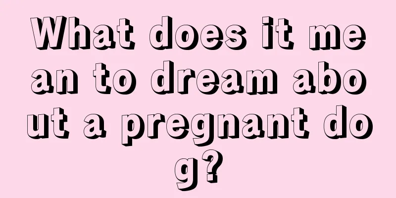 What does it mean to dream about a pregnant dog?