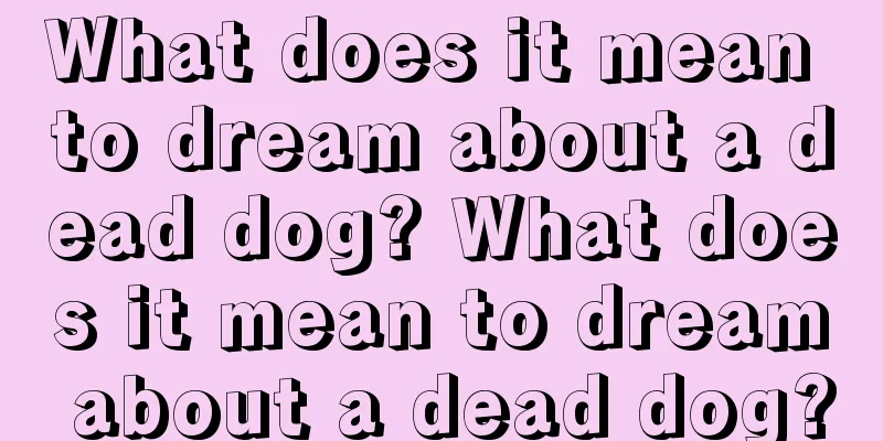 What does it mean to dream about a dead dog? What does it mean to dream about a dead dog?