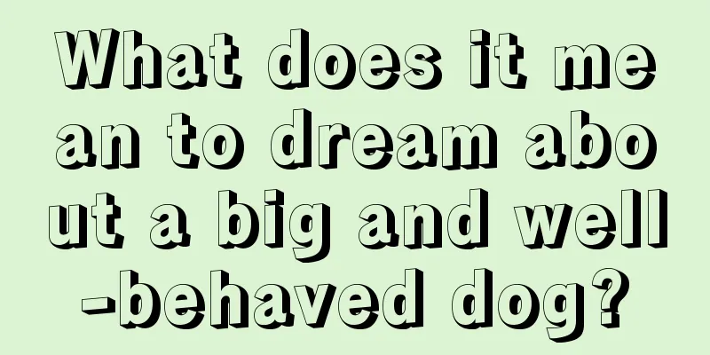 What does it mean to dream about a big and well-behaved dog?