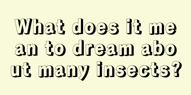 What does it mean to dream about many insects?