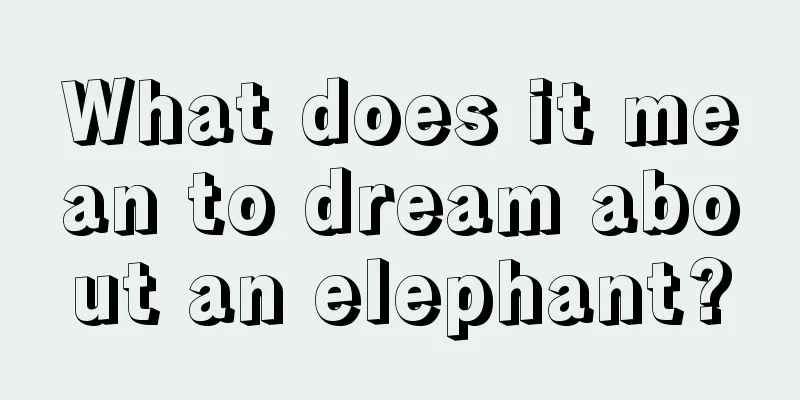 What does it mean to dream about an elephant?