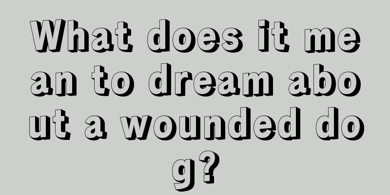 What does it mean to dream about a wounded dog?