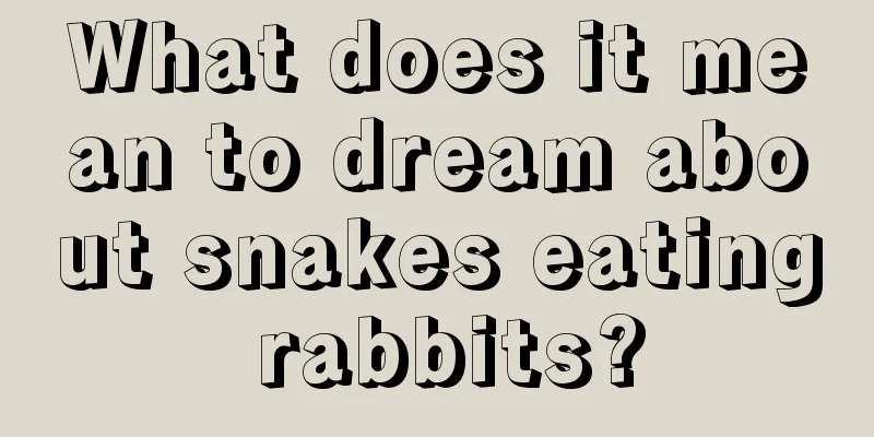 What does it mean to dream about snakes eating rabbits?