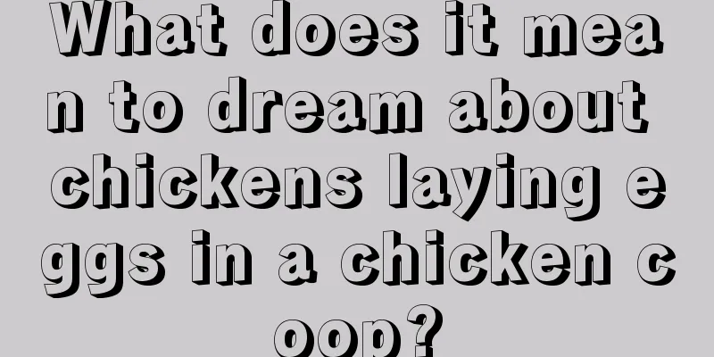 What does it mean to dream about chickens laying eggs in a chicken coop?