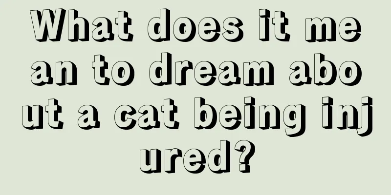 What does it mean to dream about a cat being injured?