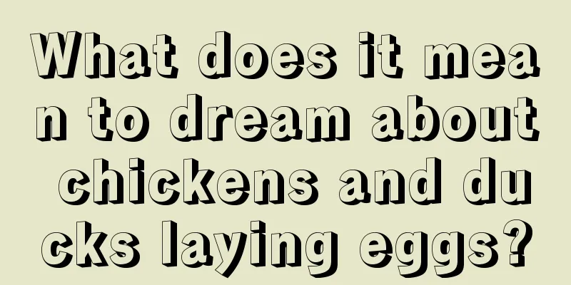 What does it mean to dream about chickens and ducks laying eggs?