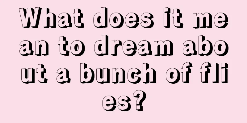 What does it mean to dream about a bunch of flies?