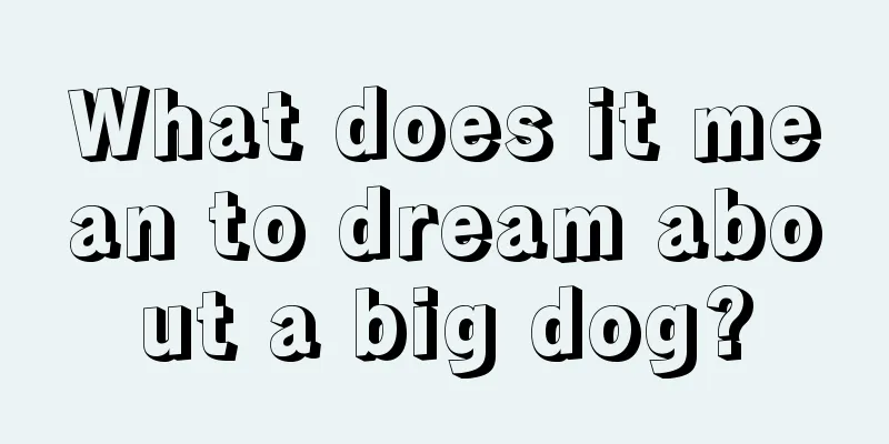 What does it mean to dream about a big dog?