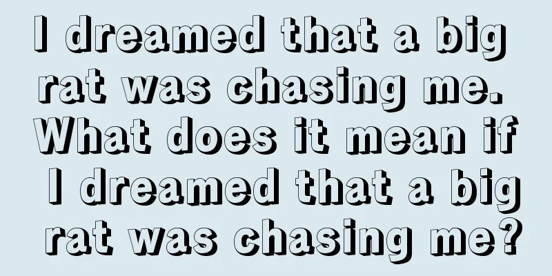 I dreamed that a big rat was chasing me. What does it mean if I dreamed that a big rat was chasing me?