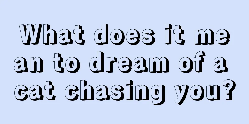 What does it mean to dream of a cat chasing you?