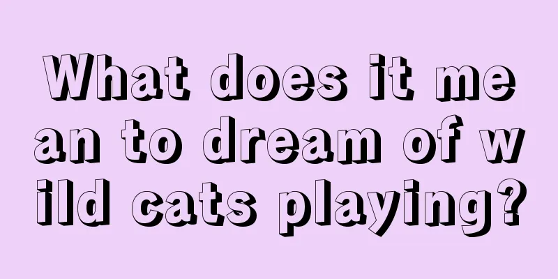 What does it mean to dream of wild cats playing?