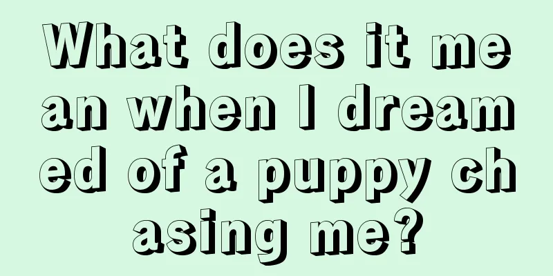 What does it mean when I dreamed of a puppy chasing me?