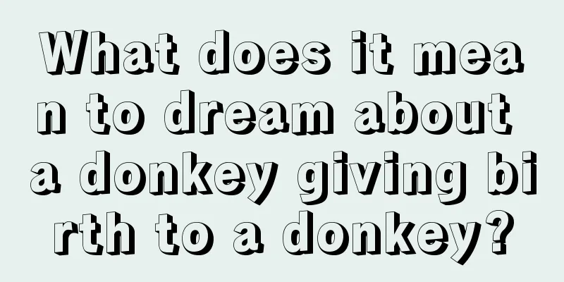 What does it mean to dream about a donkey giving birth to a donkey?