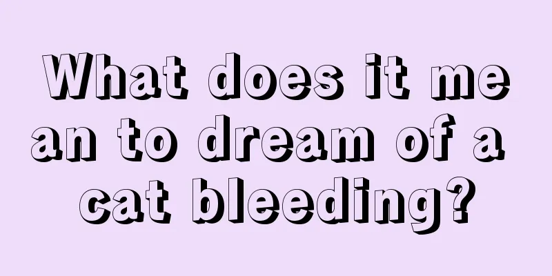 What does it mean to dream of a cat bleeding?