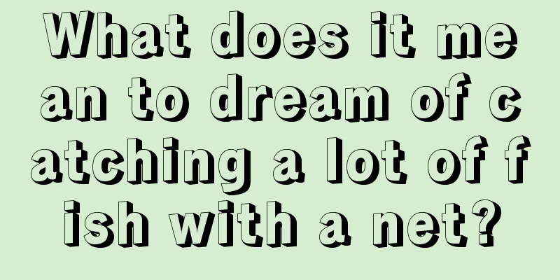 What does it mean to dream of catching a lot of fish with a net?