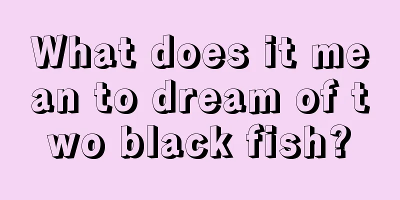 What does it mean to dream of two black fish?