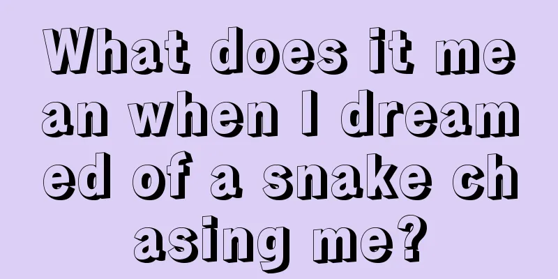 What does it mean when I dreamed of a snake chasing me?