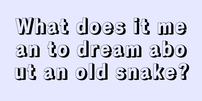 What does it mean to dream about an old snake?