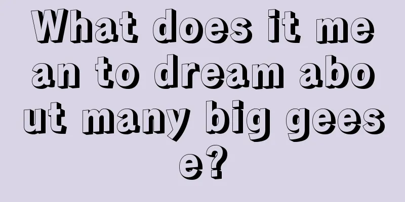 What does it mean to dream about many big geese?