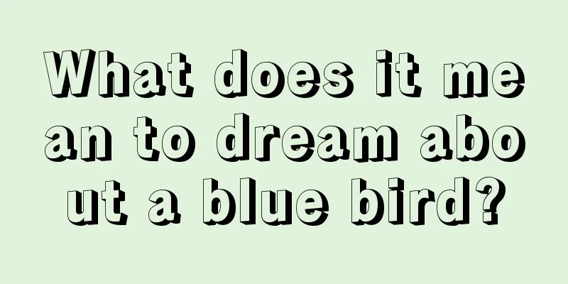 What does it mean to dream about a blue bird?