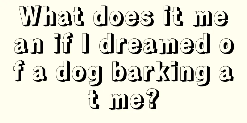 What does it mean if I dreamed of a dog barking at me?