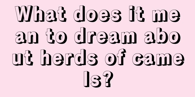 What does it mean to dream about herds of camels?