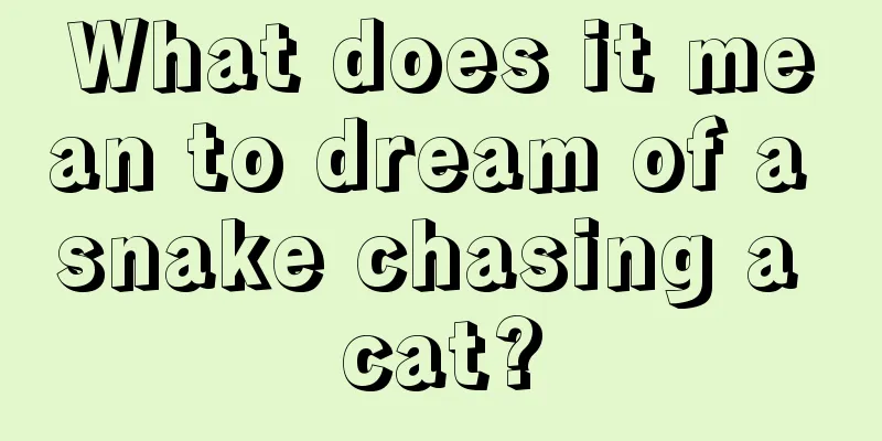 What does it mean to dream of a snake chasing a cat?