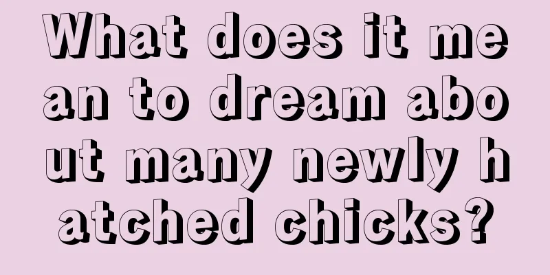 What does it mean to dream about many newly hatched chicks?