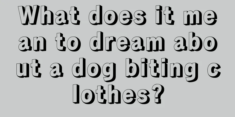 What does it mean to dream about a dog biting clothes?