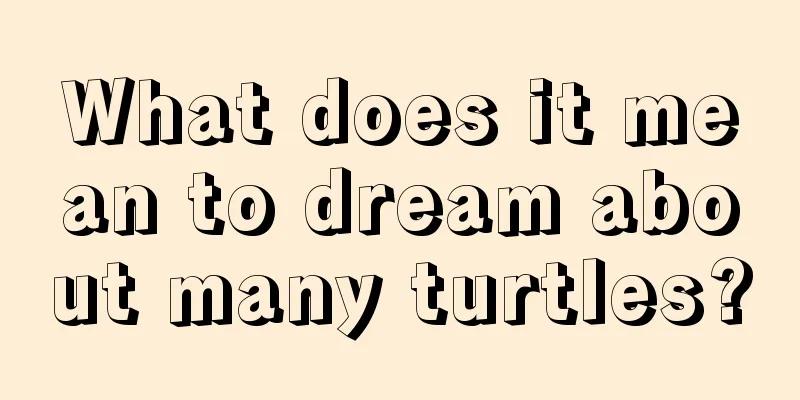 What does it mean to dream about many turtles?