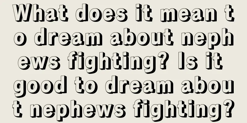 What does it mean to dream about nephews fighting? Is it good to dream about nephews fighting?