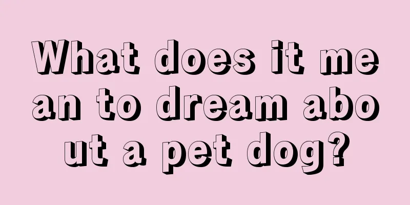 What does it mean to dream about a pet dog?