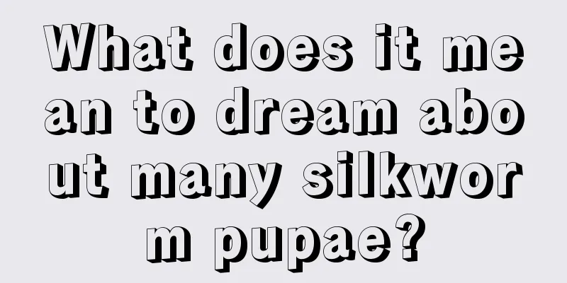 What does it mean to dream about many silkworm pupae?