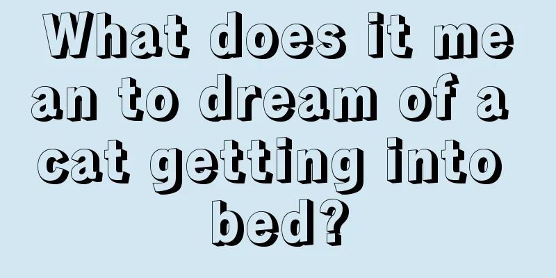 What does it mean to dream of a cat getting into bed?