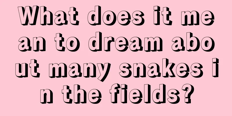 What does it mean to dream about many snakes in the fields?