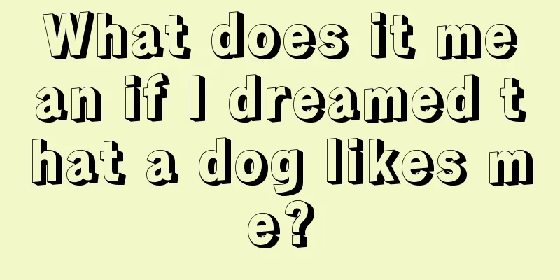 What does it mean if I dreamed that a dog likes me?