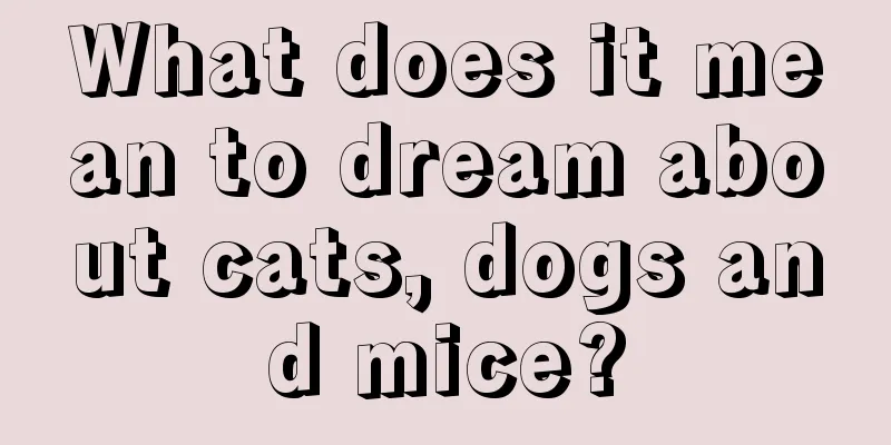 What does it mean to dream about cats, dogs and mice?