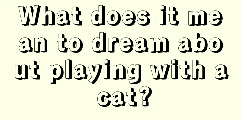 What does it mean to dream about playing with a cat?