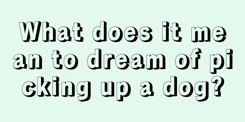 What does it mean to dream of picking up a dog?