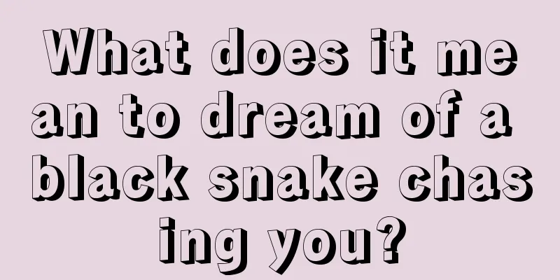 What does it mean to dream of a black snake chasing you?