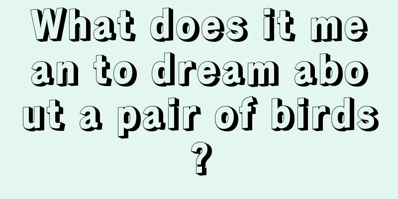 What does it mean to dream about a pair of birds?