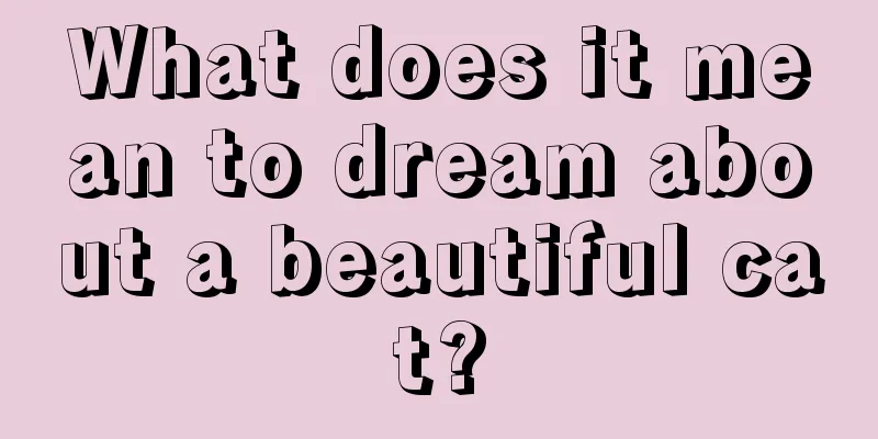 What does it mean to dream about a beautiful cat?