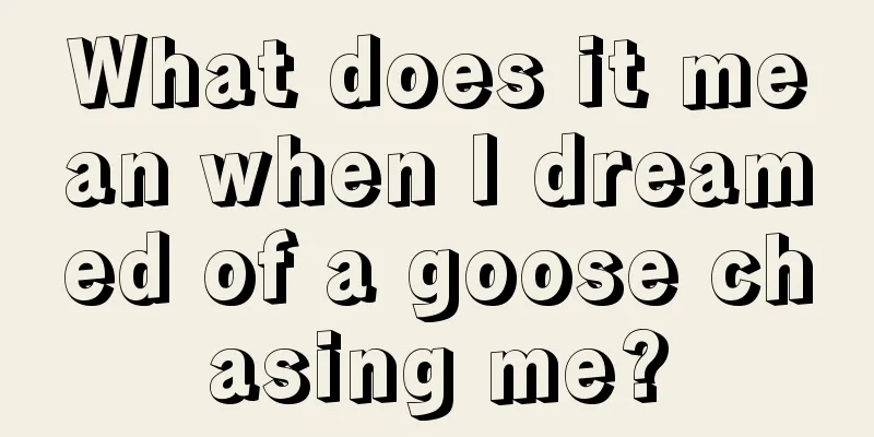 What does it mean when I dreamed of a goose chasing me?