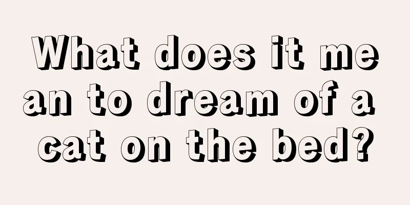 What does it mean to dream of a cat on the bed?