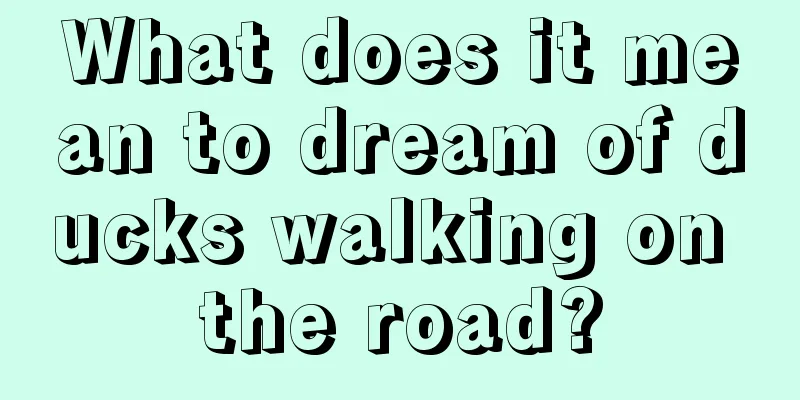 What does it mean to dream of ducks walking on the road?