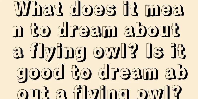 What does it mean to dream about a flying owl? Is it good to dream about a flying owl?